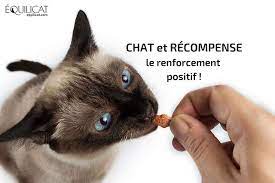 comportementalistes animaliers