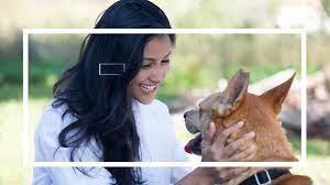 animaux traumatisés