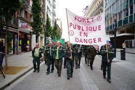 protection de l'environnement