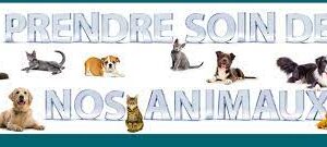 La mission essentielle