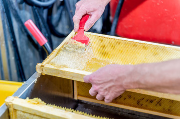 restauration urbaine