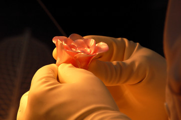 Fabrication Artisanale