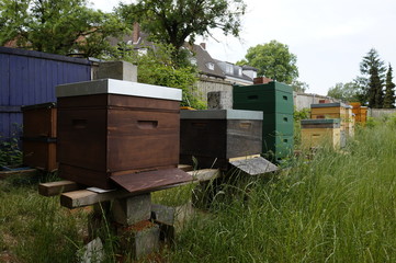 sensibilisation scolaire