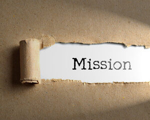 Sous le regard des étoiles