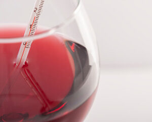 Caviste et Vinification