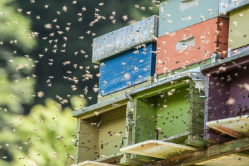 initiatives artistiques