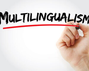 diversité culturelle