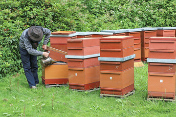 biodiversité urbaine à Paris
