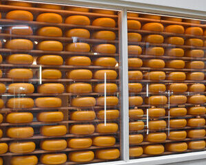 Fromages de Terroir à Paris