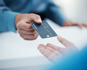 Comportementalistes Animaliers