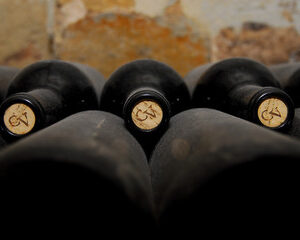 Caviste et Vinification Naturelle 