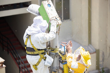 produits de la ruche