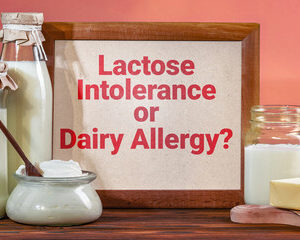  Allergies Alimentaires 