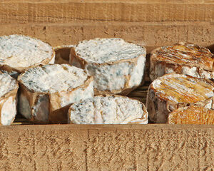 Portrait d'un Crémier