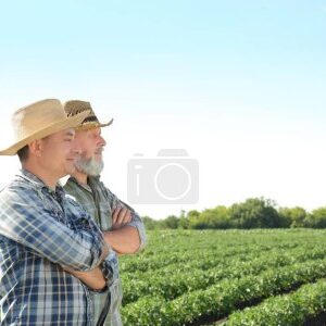 Cultivateurs et Pollinisation
