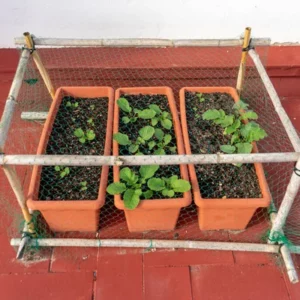 Résilience Alimentaire