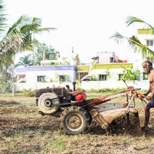 'Alimentation Urbaine