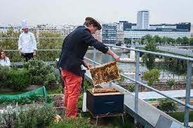 des espaces verts publics