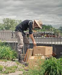 économie circulaire 