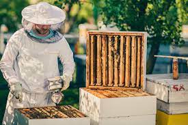 les parcs et jardins publics