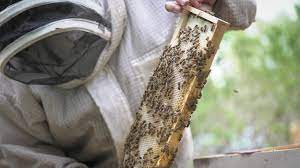 Défis et opportunités