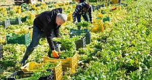  restauration écologique 