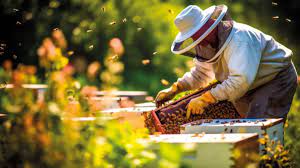 gestion de la faune sauvage