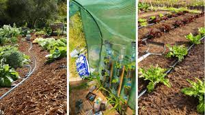 vecteur de lien social