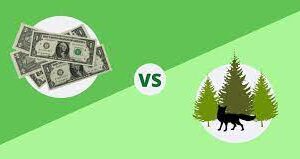 Agronomie et économie locale