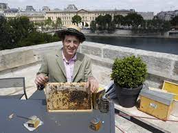 L'apiculture urbaine