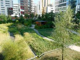 la faune et la flore