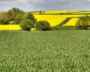  traditions agricoles et modernité 