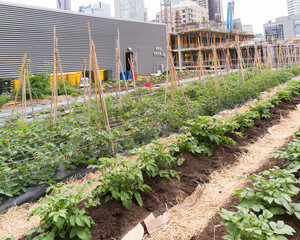 polyvalence et spécialisation