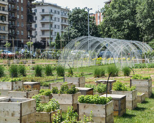 agriculture urbaine