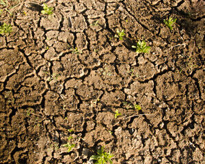 contamination des sols