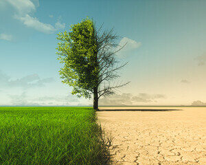  changement climatique