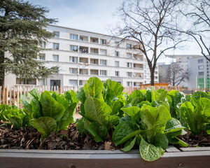 économie circulaire