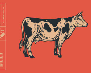 Influence dans la Cuisine