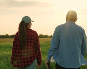 agronomie participative