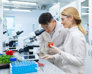 qualité des aliments