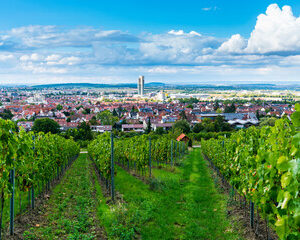 agriculture verticale