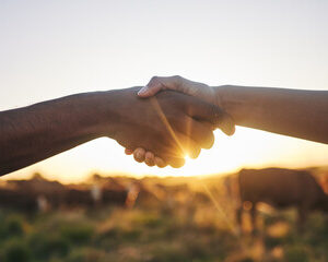 Barmans et Producteurs