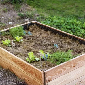 Permaculture en Milieu Urbain