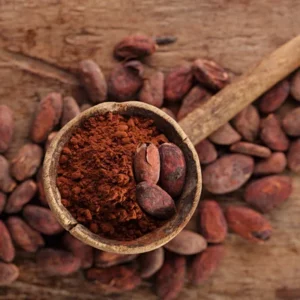 Chocolat et Écologie