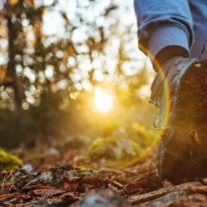 Un homme marche seul en forêt sur un chemin de terre au coucher du soleil, symbole de reconversion professionnelle et quête de sens.